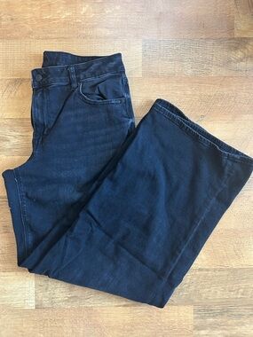 NWOT American Eagle Faded Black Dreamy Drape Stretch Low-Rise Baggy Wide-Leg 10L